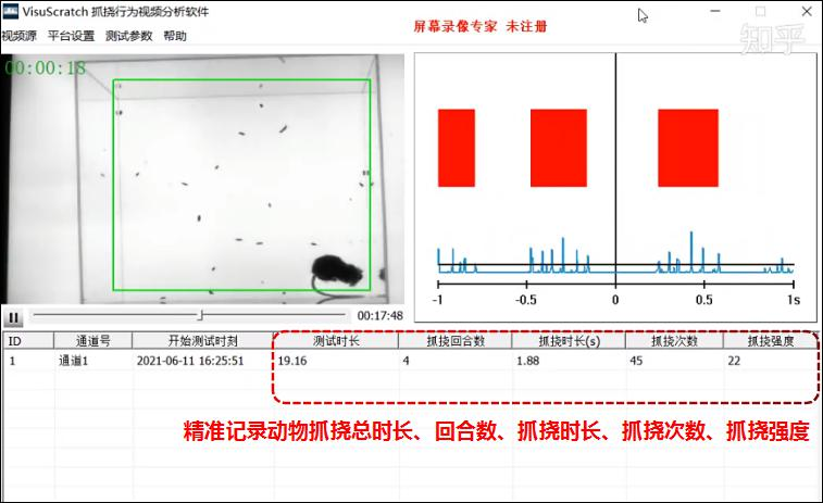VisuScratch 动物抓挠行为视频分析系统