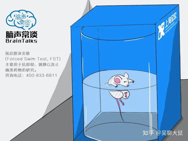 10分钟学会强迫游泳实验|强迫游泳实验中的指标与行为学意义