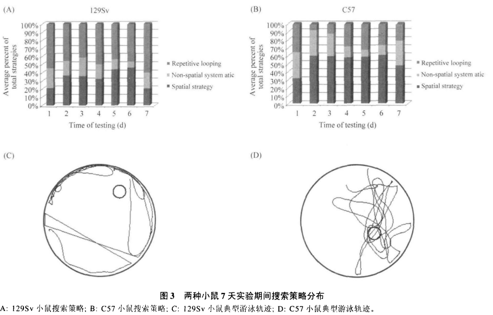 屏幕截图 2024-02-20 103341.png