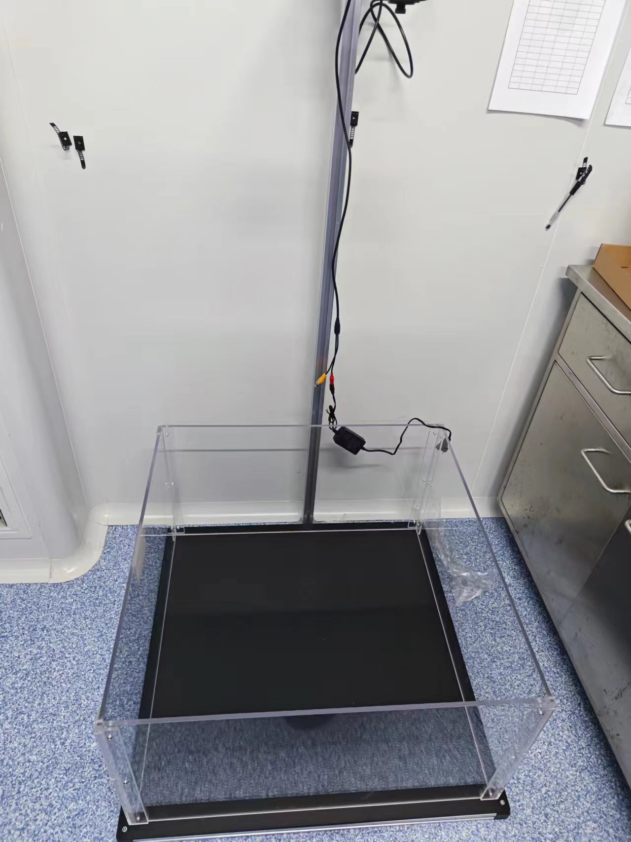 动物行为学新手入门攻略（16）|新物体识别实验原理和实验流程