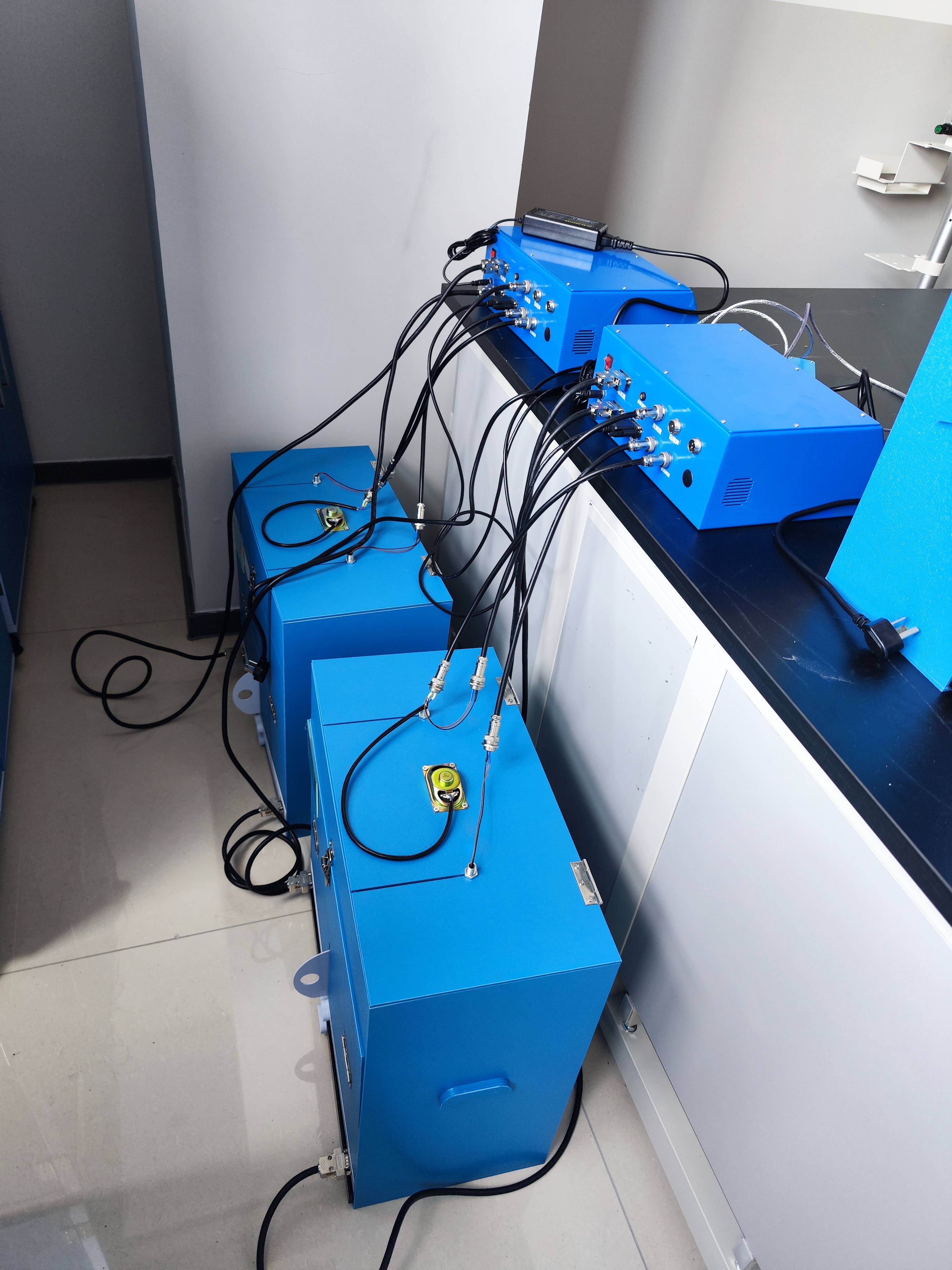 动物行为学新手入门攻略（15）|习得性无助范式的训练方案