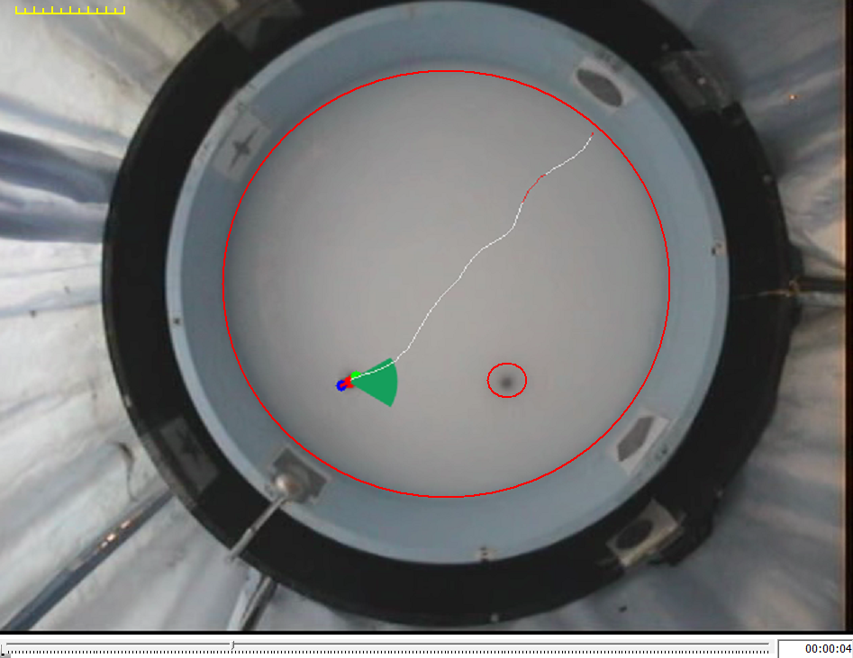 做学习认知实验，什么情况下选择Morris水迷宫