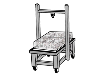 VisuScratch 动物抓挠行为视频分析系统