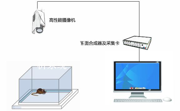 SuperRotation转圈实验视频分析系统