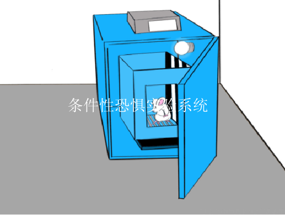 条件性恐惧实验系统