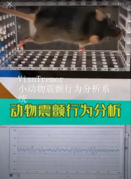 VisuTremor小动物震颤行为分析系统