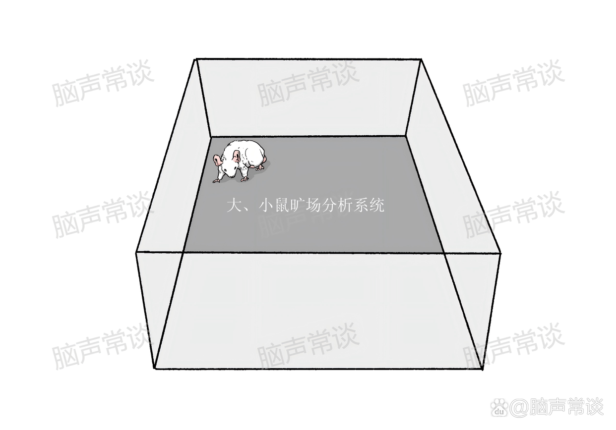 大、小鼠旷场分析系统