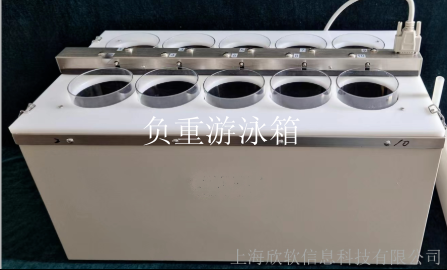 负重游泳箱