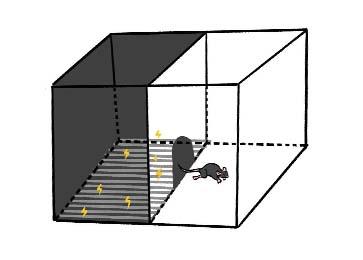 避暗实验分析系统