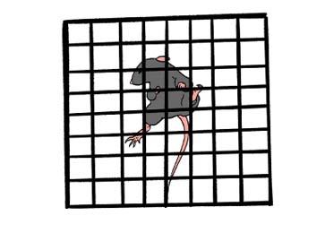 错步分析仪
