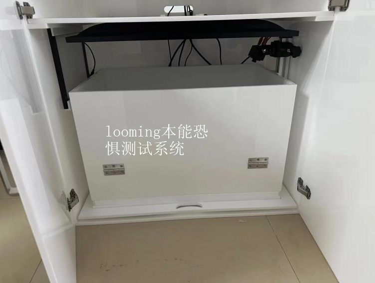looming本能恐惧测试系统