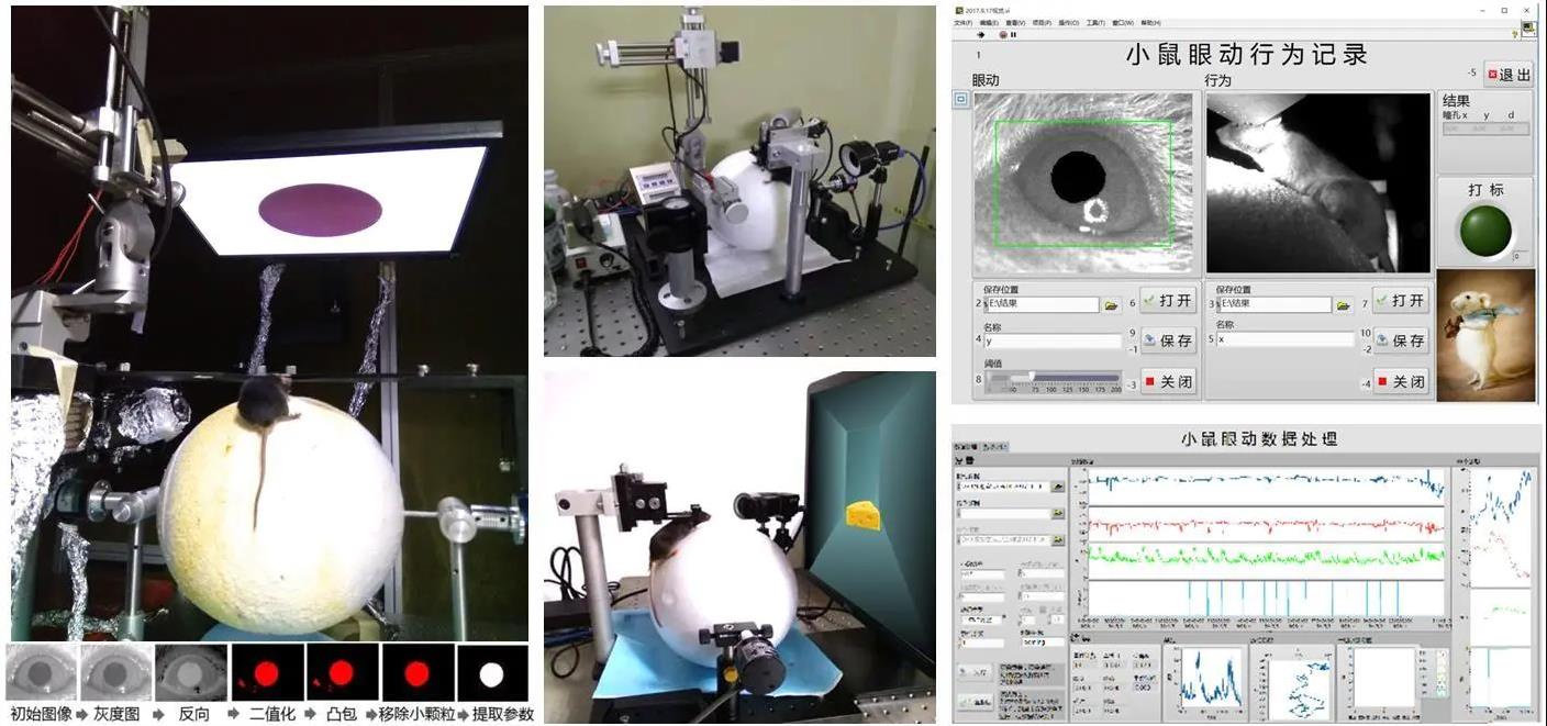 小动物眼动追踪和虚拟现实仪器
