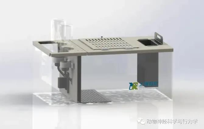 动物抑郁行为实验手册丨糖水偏好实验测试方法、指标评价及注意事项